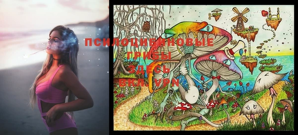 PSILOCYBIN Покровск